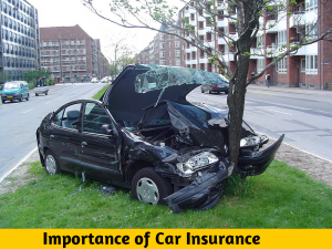 car insurance