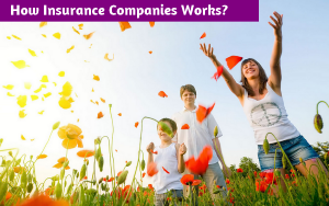 how insurance companies works